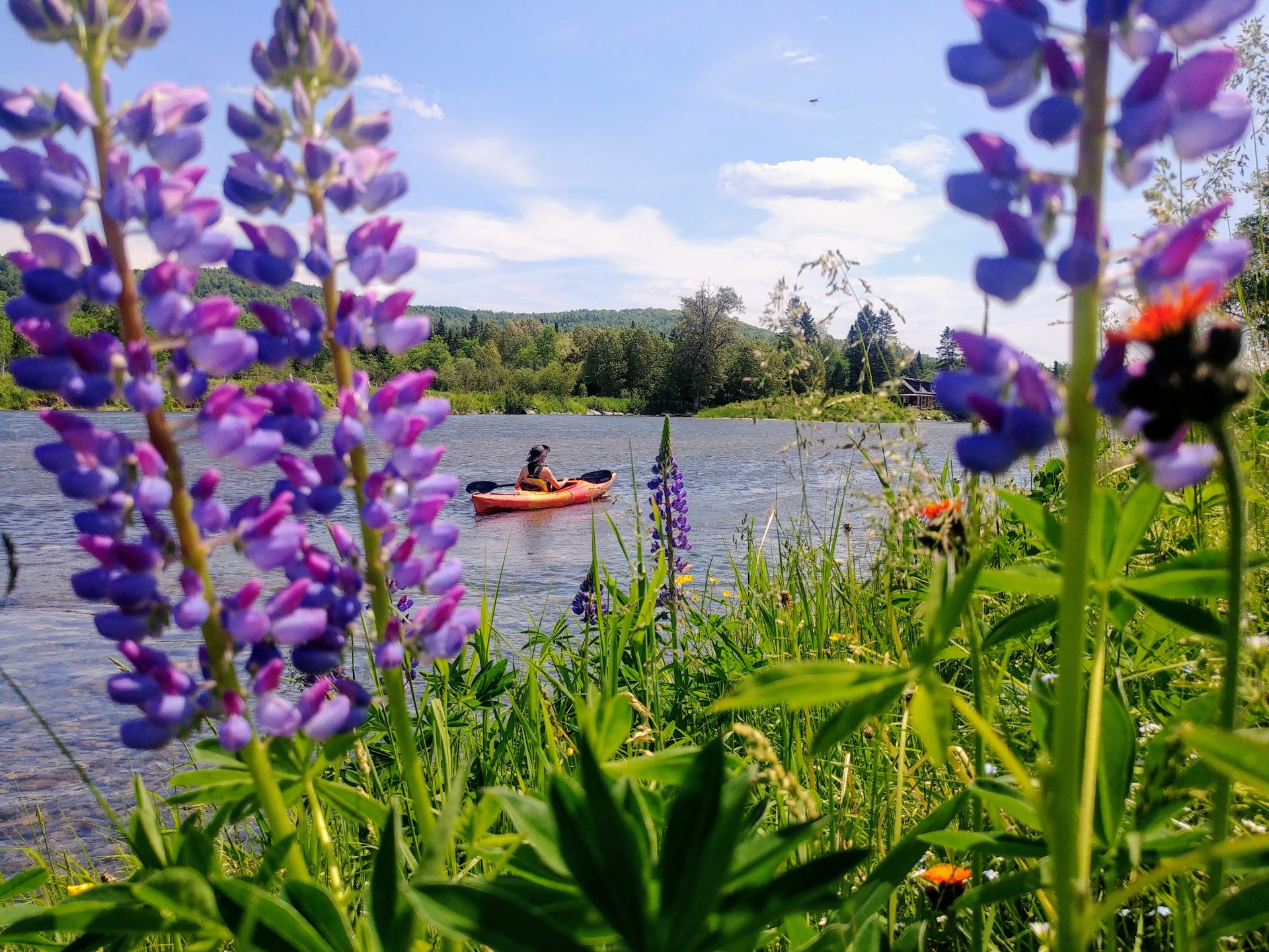 Kayak-1-Audrey-Favre.jpg Kayak-1-Audrey-Favre.jpg